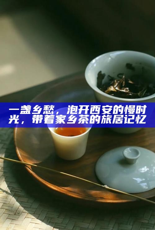 一盏乡愁，泡开西安的慢时光，带着家乡茶的旅居记忆
