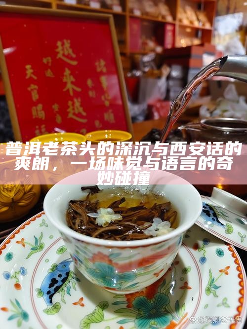 普洱老茶头的深沉与西安话的爽朗，一场味觉与语言的奇妙碰撞
