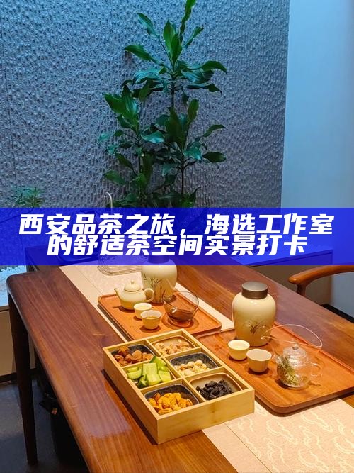 西安品茶之旅，海选工作室的舒适茶空间实景打卡